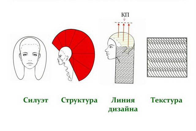 Контур и текстура стрижки