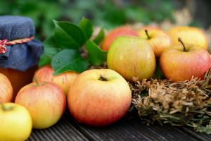 Рецепт приготовления моченых яблок