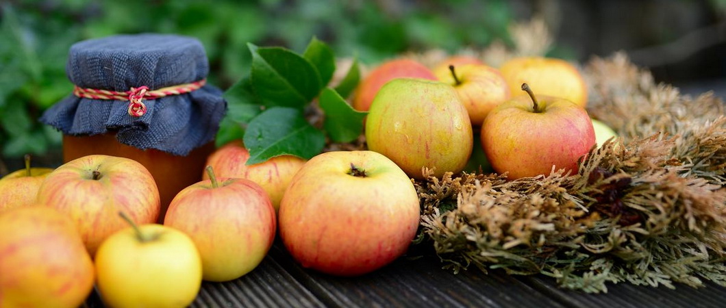 Рецепт приготовления моченых яблок