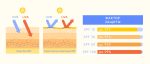 Выбор надёжной SPF-защиты от солнца