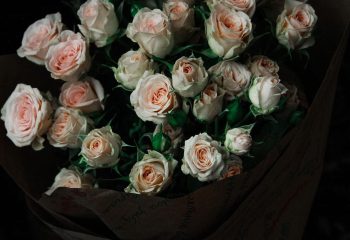 Самый популярный цвет роз: что дарят чаще?