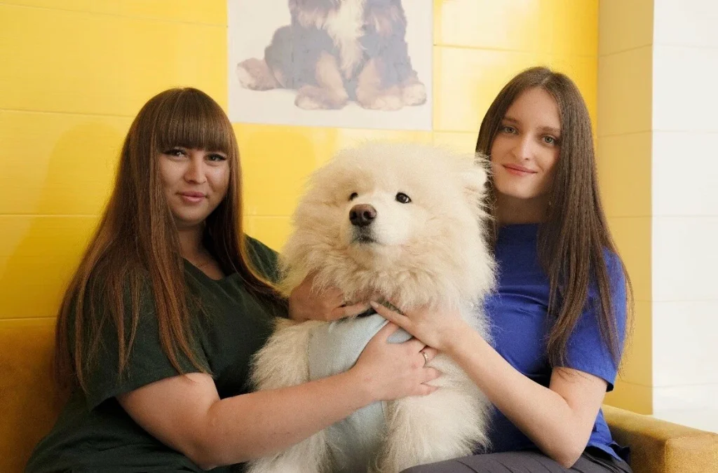 адаптация животных в гостинице