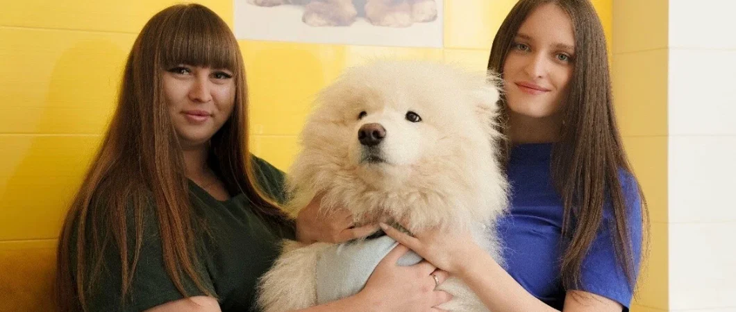 Комфорт и безопасность: как выбрать зоогостиницу в Воронеже для длительного проживания питомца