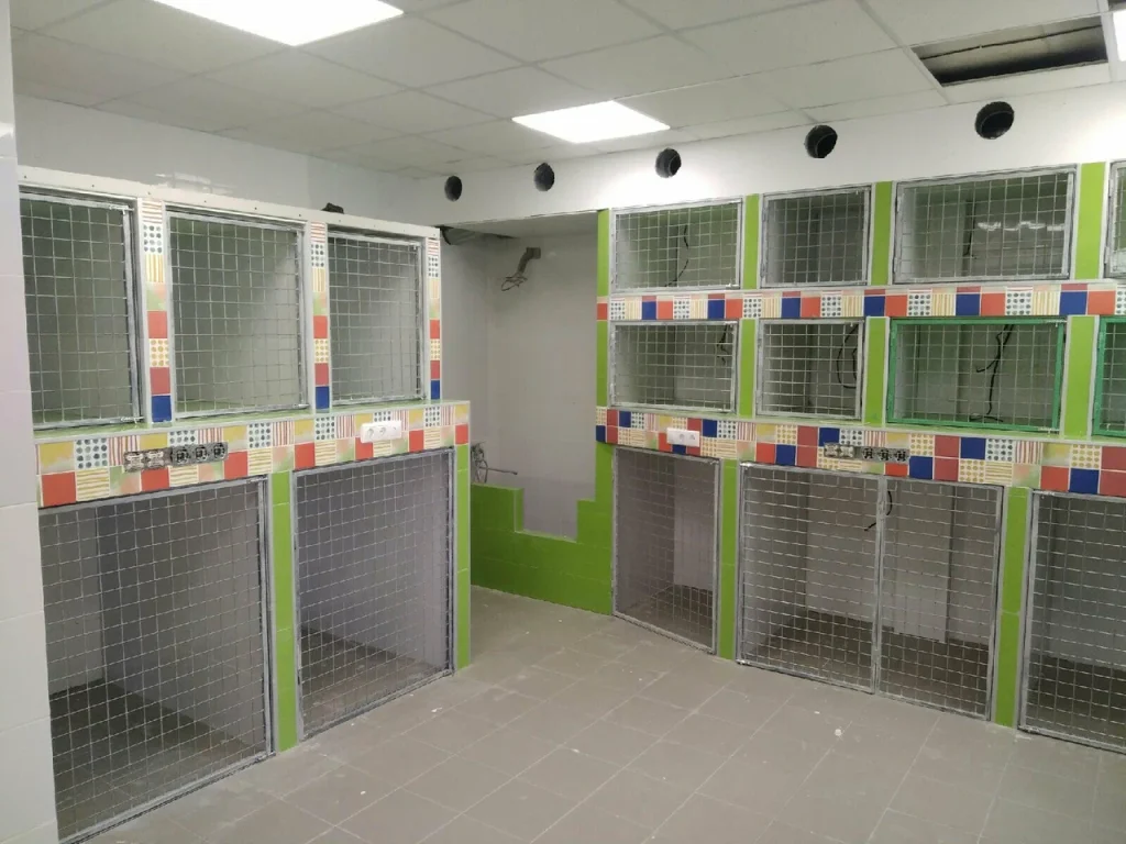 выбор зоогостиницы в Воронеже