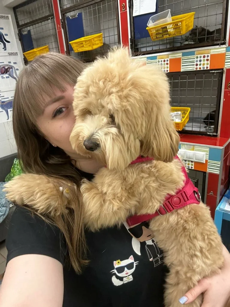 санитарные нормы в зоогостиницах